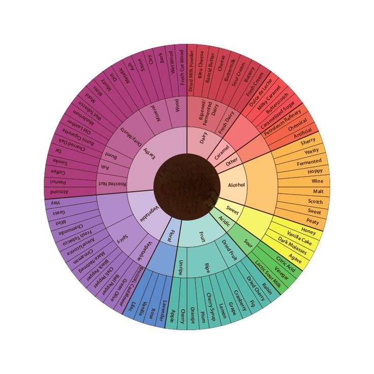 Chocolate Tasting Wheel