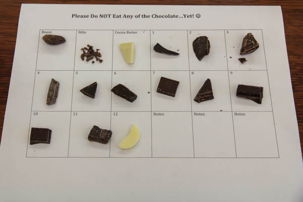 chocolate tasting set-up